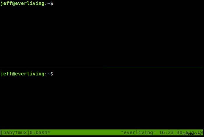 Linux에서 Tmux 세션을 관리하고 복원하는 방법 