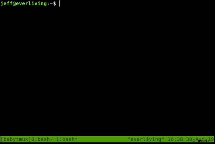 Linux에서 Tmux 세션을 관리하고 복원하는 방법 