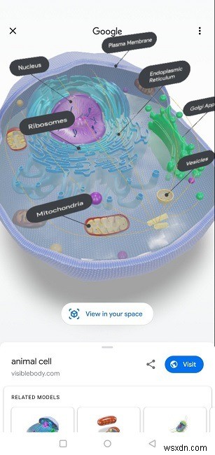 Google의 3D 동물을 거실로 가져오는 방법 