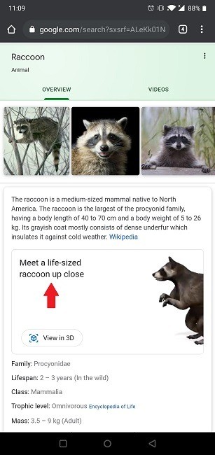 Google의 3D 동물을 거실로 가져오는 방법 