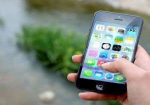 iPhone에서 Safari가 작동하지 않습니까? 해결 방법은 다음과 같습니다. 