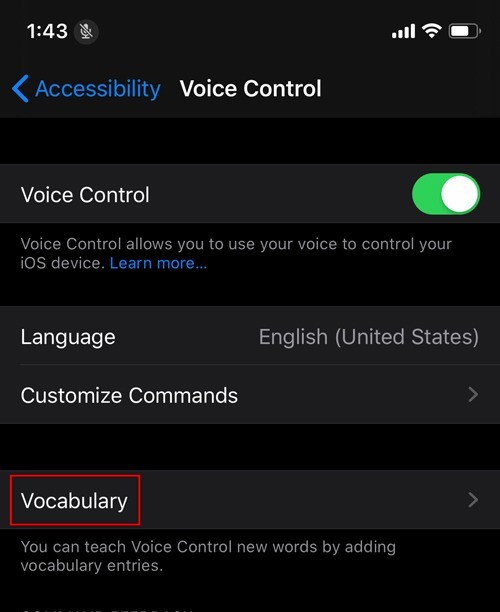 iOS 13에서 음성 제어를 사용하는 방법 