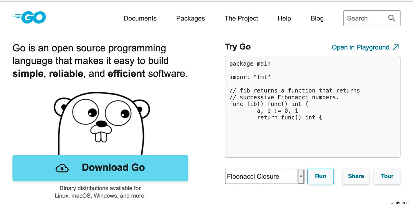 Golang 대 Java:프로그래밍 대결