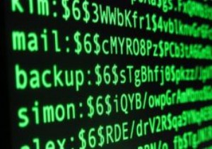 bcrypt 해싱 알고리즘으로 WordPress 비밀번호 보안을 향상시키는 방법 