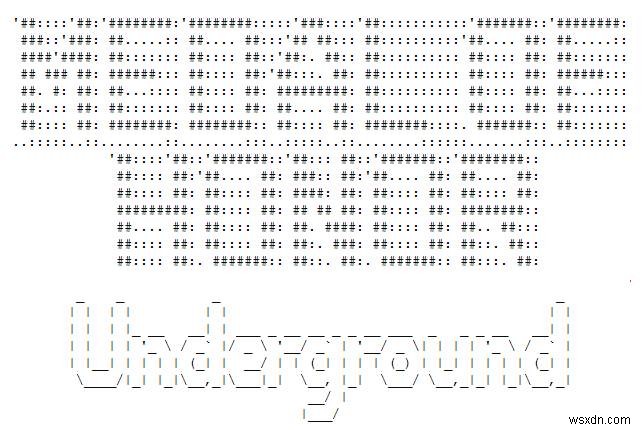 사진을 ASCII 아트로 변환하는 세 가지 변환기 