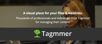 Tagmmer:파일 및 웹 링크를 위한 시각적 공간