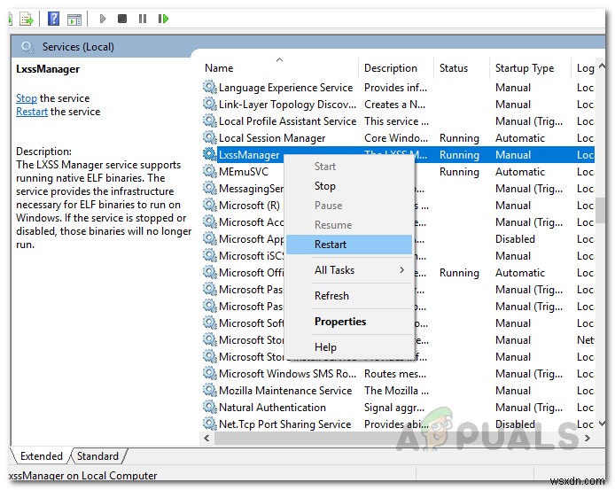 Windows에서  Localhost가 연결을 거부했습니다  오류를 수정하는 방법은 무엇입니까? 