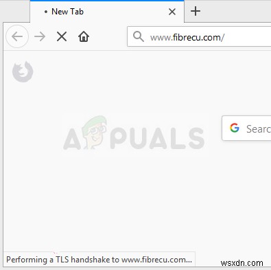 Windows용 Mozilla Firefox에서  TLS 핸드셰이크 수행  오류를 수정하는 방법은 무엇입니까? 