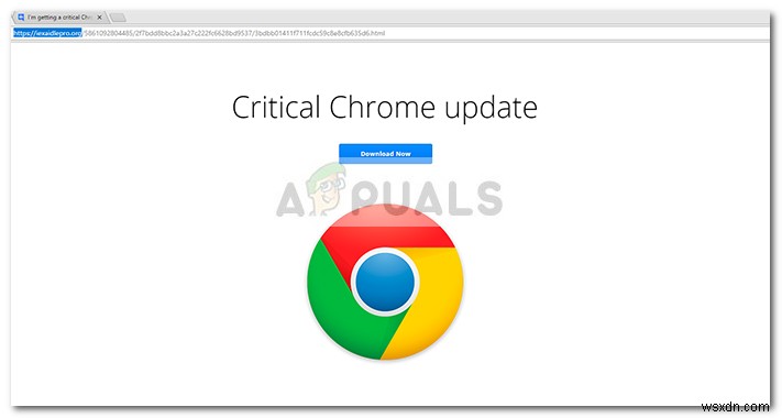 수정:중요한 Chrome 업데이트 사기 