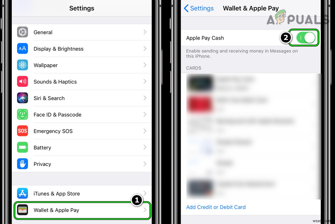 수정: 현재 Apple Pay 서비스를 사용할 수 없습니다  오류 