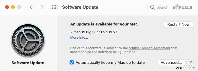 모든 Mac 소유자가 macOS BigSur 11.5.1로 업데이트해야 하는 이유 