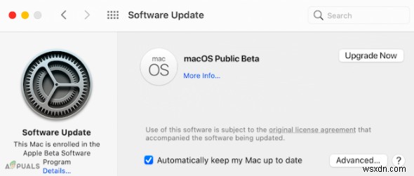 macOS Monterey 베타 버전 설치 방법