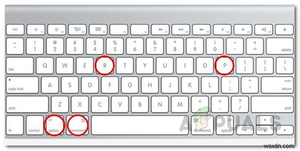 흰색 화면에서 Mac이 멈추는 문제를 해결하는 방법