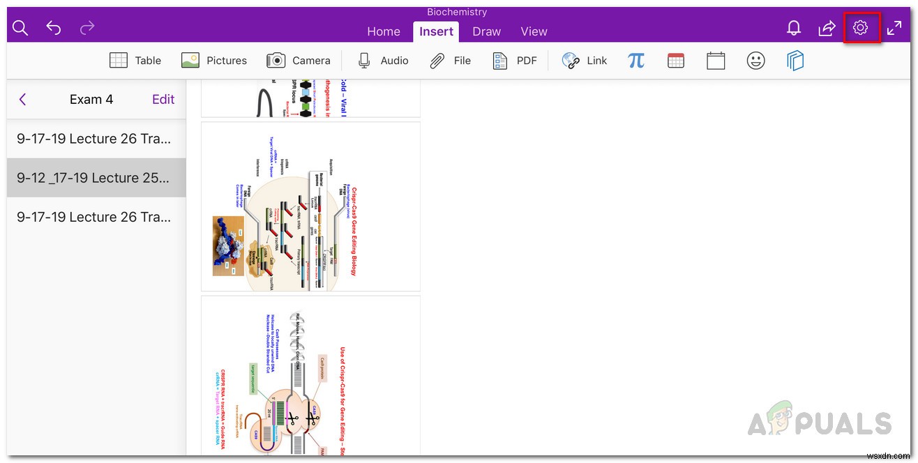 [FIX] OneNote가 iPad에서 계속 충돌함 