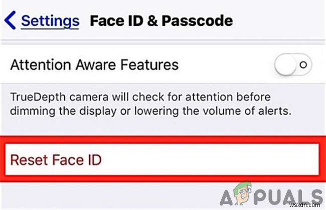 수정:iPhone에서 Face ID가 작동하지 않음 