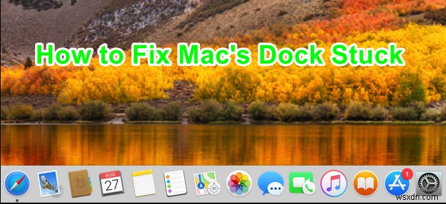 Mac Dock이 멈추는 문제를 해결하는 방법은 무엇입니까? 