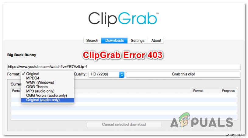 Windows 및 MacOS에서 ClipGrab 오류 403 수정 
