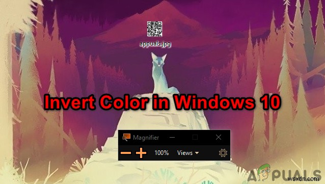 색상 필터 및 돋보기 앱을 사용하여 Windows 10에서 색상 반전
