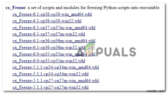  메인 스크립트에서 CX_Freeze Python 오류 를 수정하는 방법은 무엇입니까? 