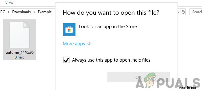 Windows에서 HEIC 파일을 여는 방법? 