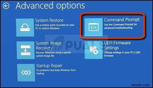 Windows에서  Windows에서 Microsoft 소프트웨어 사용 조건을 찾을 수 없음  오류를 수정하는 방법은 무엇입니까? 