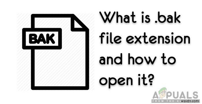  .bak  파일 확장자와 그것을 여는 방법은 무엇입니까? 