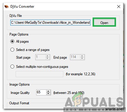DjVu를 PDF로 변환하는 방법 