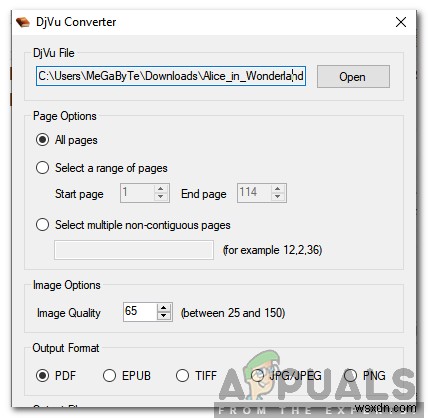 DjVu를 PDF로 변환하는 방법 