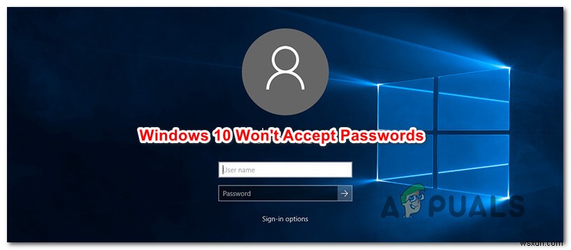 암호를 허용하지 않는 Windows 10을 수정하는 방법 
