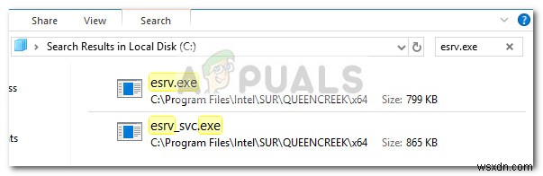 수정:Esrv.exe 시작 애플리케이션 오류