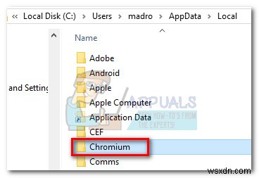 수정:Chromium이 제거되지 않음 