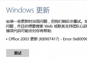 FIX:Office 2003 업데이트 오류 0x80096004(KB907417) 