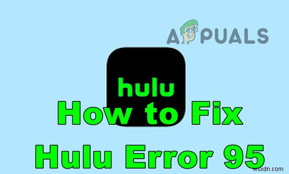 Hulu에서  오류 코드:95 를 수정하는 방법? 