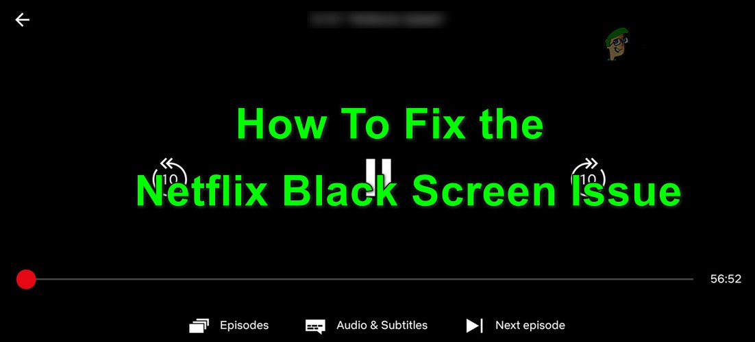 수정:모든 장치에서 Netflix 블랙 스크린 문제 