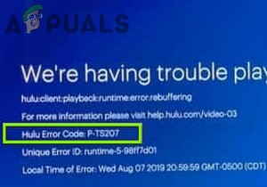 Hulu 오류 코드 P-TS207 해결 방법 총정리