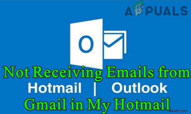 내 Hotmail 계정에서 내 Gmail 이메일을 받지 못함 (수정) 