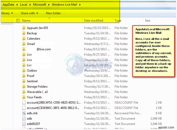 FIX:Windows Live 메일에서 누락되거나 손실된 폴더 복구