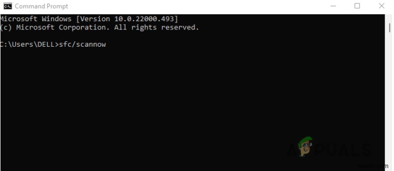 Microsoft Store에서  오류 코드:0x80072f8f 를 수정하는 방법? 