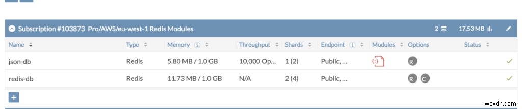 HashiCorp Terraform으로 Redis Enterprise Cloud Anywhere 프로비저닝 및 관리 