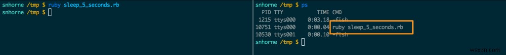 `top` 및 `ps`로 표시된 대로 Ruby 스크립트의 프로세스 이름을 변경하는 방법 