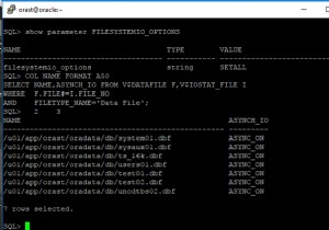 Oracle 11g I/O 교정 개요 