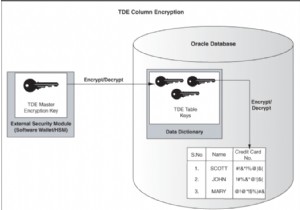 Oracle EBS를 통한 투명한 데이터 암호화 