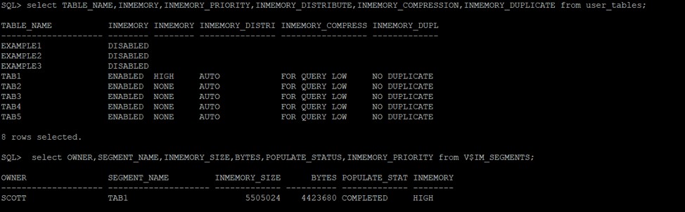 Oracle Database v18c 자동 인메모리 