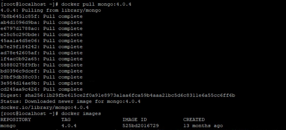 MongoDB를 Docker 컨테이너로 배포 