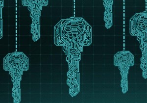 MongoDB 컬렉션의 모든 이름 가져오기 