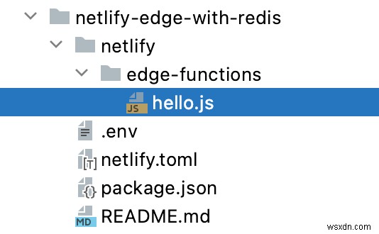 Netlify Edge Functions 및 Serverless Redis 시작하기 