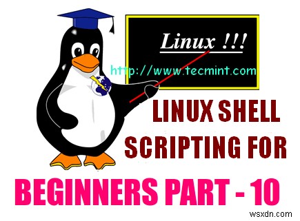쉘 스크립팅의  리눅스 변수  이해 및 쓰기 – 파트 10 