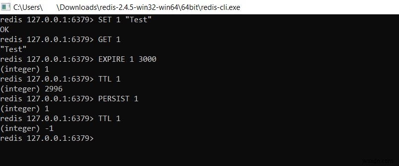 Redis PERSIST – redis에서 키의 만료 시간을 제거하는 방법 