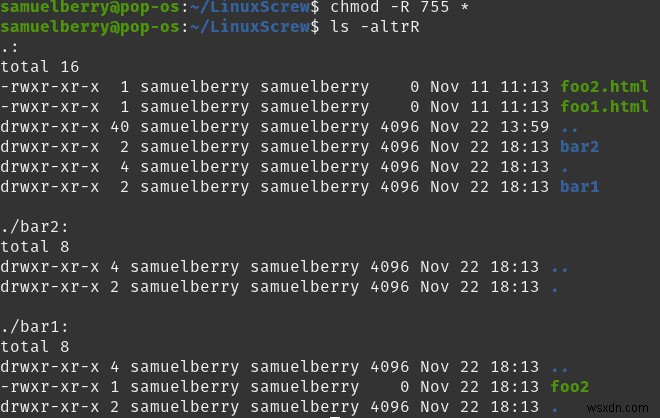 Linux chmod Recursive:파일 권한을 재귀적으로 변경하는 방법 