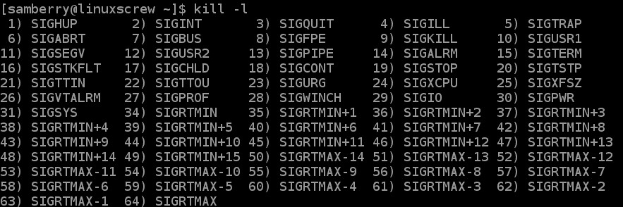 Linux에서 프로세스를 종료하는 방법 